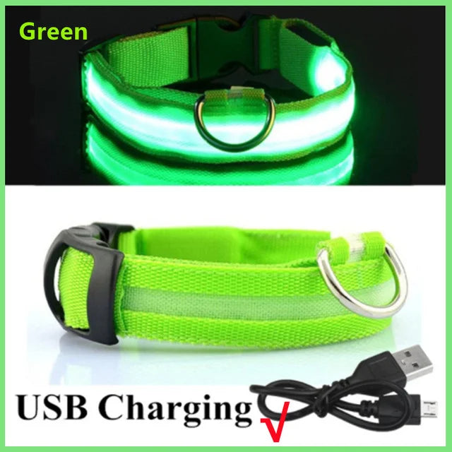 USB Rechargeable LED Dog Collar β Night Safety Glow